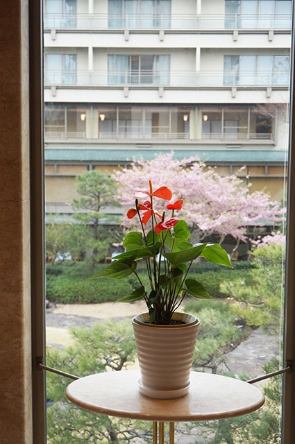 ホテル花水木の和室次の間付、石風呂のお部屋に宿泊。長島のおすすめ宿。
