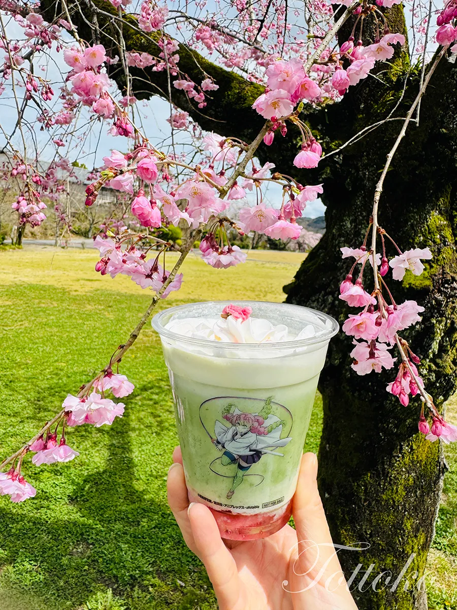 【明治村×鬼滅の刃コラボフード】蜜璃ちゃんの桜ドリンクと伊之助まん【食道楽のカフェを紹介】