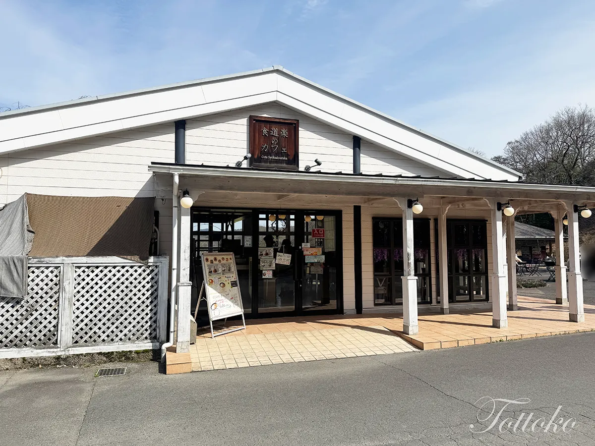 【明治村×鬼滅の刃コラボフード】蜜璃ちゃんの桜ドリンクと伊之助まん【食道楽のカフェを紹介】