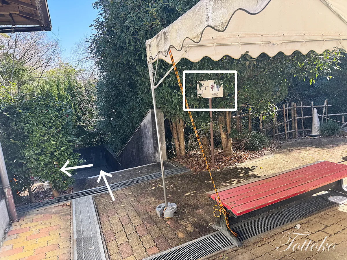 【明治村×鬼滅の刃コラボフード】伊黒さんのとろろ昆布うどんが美味しい【めん処なごや庵】