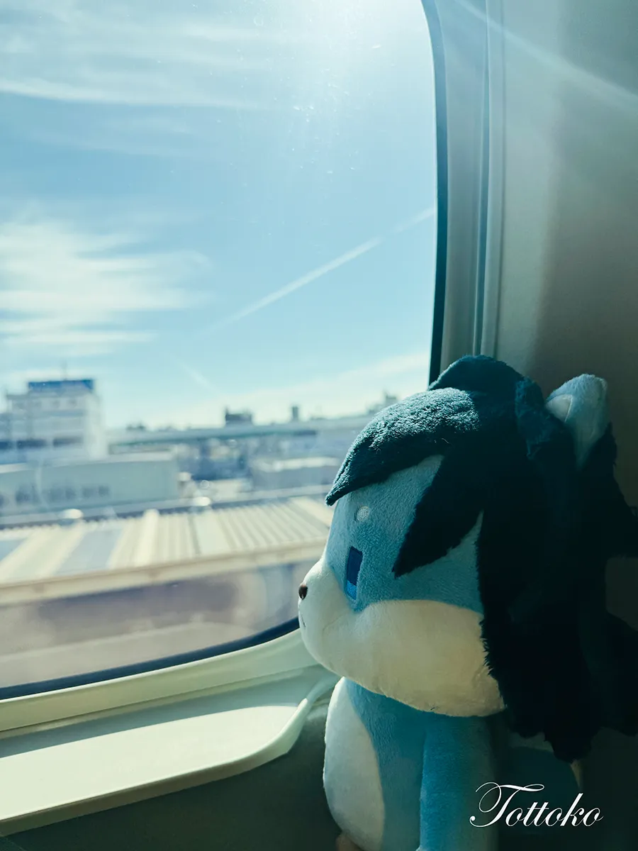 鬼滅の刃東京遠征の記録アニマルぬいぐるみ冨岡義勇わんとの旅