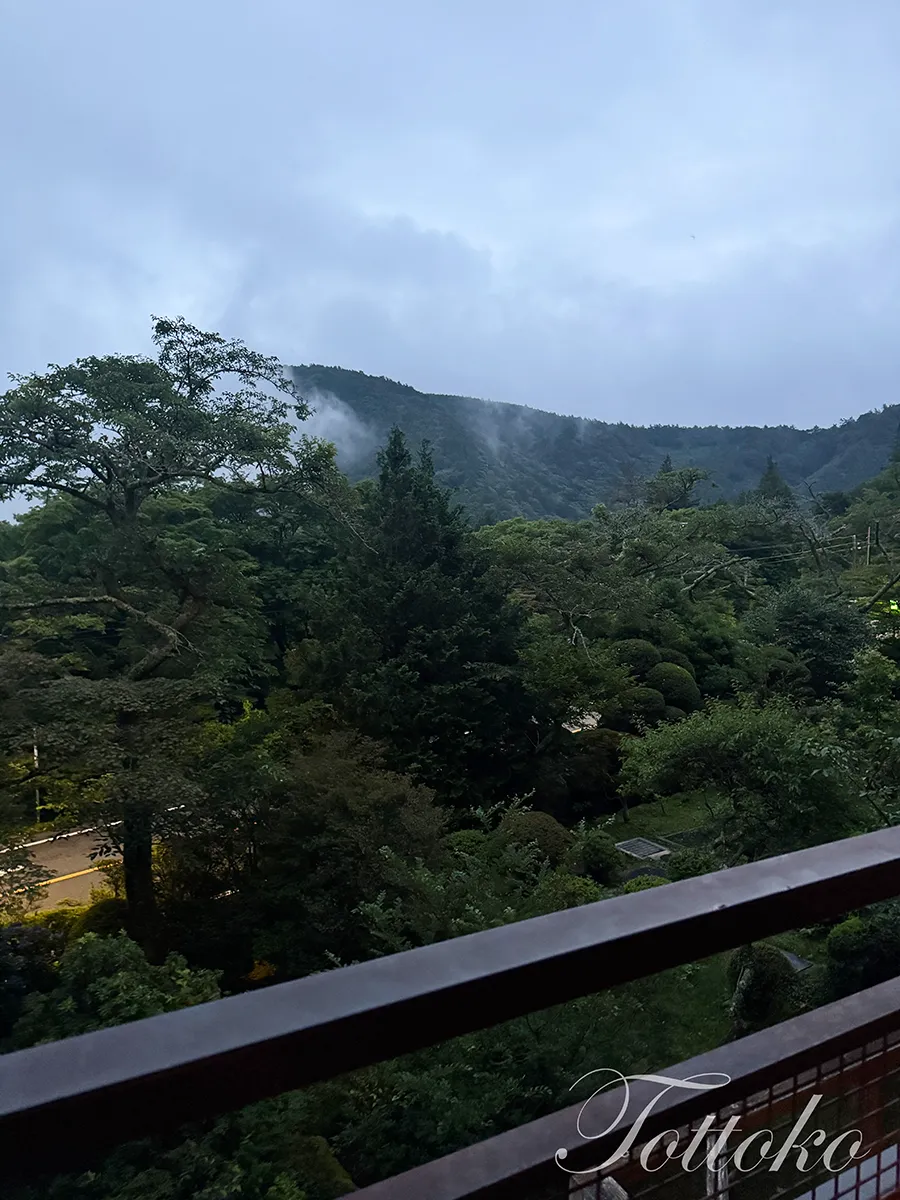 箱根小涌園三河屋旅館 宿泊レポ【別館スイート】創業明治16年の老舗旅館